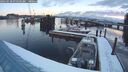 ./images/quadra/hbidock/20260218/hbidock20260218_073501M.jpg