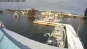 ./images/quadra/hbidock/20260218/hbidock20260218_144000M.jpg