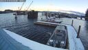 ./images/quadra/hbidock/20260219/hbidock20260219_074501M.jpg