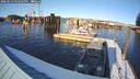 ./images/quadra/hbidock/20260219/hbidock20260219_161001M.jpg