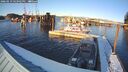 ./images/quadra/hbidock/20260219/hbidock20260219_163501M.jpg