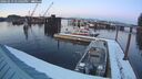 ./images/quadra/hbidock/20260219/hbidock20260219_175002M.jpg