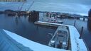 ./images/quadra/hbidock/20260220/hbidock20260220_072001M.jpg