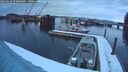 ./images/quadra/hbidock/20260220/hbidock20260220_073001M.jpg