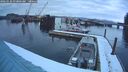 ./images/quadra/hbidock/20260220/hbidock20260220_074001M.jpg