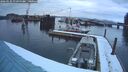 ./images/quadra/hbidock/20260220/hbidock20260220_075000M.jpg