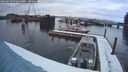 ./images/quadra/hbidock/20260220/hbidock20260220_075500M.jpg