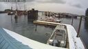 ./images/quadra/hbidock/20260220/hbidock20260220_104501M.jpg