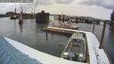 ./images/quadra/hbidock/20260220/hbidock20260220_110501M.jpg