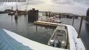 ./images/quadra/hbidock/20260220/hbidock20260220_111501M.jpg