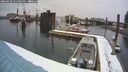 ./images/quadra/hbidock/20260220/hbidock20260220_131501M.jpg