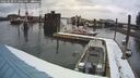 ./images/quadra/hbidock/20260220/hbidock20260220_133001M.jpg