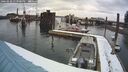 ./images/quadra/hbidock/20260220/hbidock20260220_133500M.jpg
