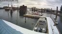 ./images/quadra/hbidock/20260220/hbidock20260220_133502M.jpg