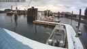 ./images/quadra/hbidock/20260220/hbidock20260220_141000M.jpg