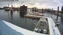 ./images/quadra/hbidock/20260220/hbidock20260220_141501M.jpg