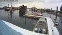 ./images/quadra/hbidock/20260220/hbidock20260220_142501M.jpg