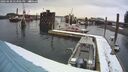 ./images/quadra/hbidock/20260220/hbidock20260220_143001M.jpg