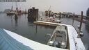 ./images/quadra/hbidock/20260220/hbidock20260220_153001M.jpg