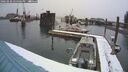 ./images/quadra/hbidock/20260220/hbidock20260220_154002M.jpg