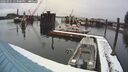 ./images/quadra/hbidock/20260221/hbidock20260221_123001M.jpg