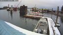 ./images/quadra/hbidock/20260221/hbidock20260221_133001M.jpg