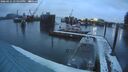 ./images/quadra/hbidock/20260221/hbidock20260221_180000M.jpg