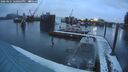 ./images/quadra/hbidock/20260221/hbidock20260221_180002M.jpg