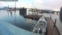 ./images/quadra/hbidock/20260223/hbidock20260223_082501M.jpg
