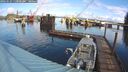 ./images/quadra/hbidock/20260223/hbidock20260223_110000M.jpg