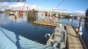 ./images/quadra/hbidock/20260223/hbidock20260223_120001M.jpg