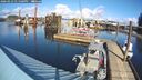 ./images/quadra/hbidock/20260223/hbidock20260223_131500M.jpg