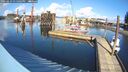 ./images/quadra/hbidock/20260223/hbidock20260223_135002M.jpg
