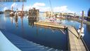 ./images/quadra/hbidock/20260223/hbidock20260223_135500M.jpg