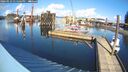 ./images/quadra/hbidock/20260223/hbidock20260223_135501M.jpg