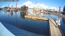 ./images/quadra/hbidock/20260223/hbidock20260223_142000M.jpg