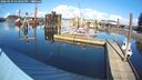 ./images/quadra/hbidock/20260223/hbidock20260223_143001M.jpg