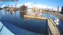 ./images/quadra/hbidock/20260223/hbidock20260223_144000M.jpg