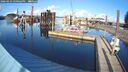./images/quadra/hbidock/20260223/hbidock20260223_150001M.jpg