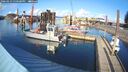 ./images/quadra/hbidock/20260223/hbidock20260223_150500M.jpg