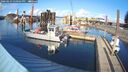 ./images/quadra/hbidock/20260223/hbidock20260223_150501M.jpg