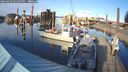 ./images/quadra/hbidock/20260223/hbidock20260223_161001M.jpg