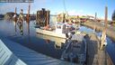 ./images/quadra/hbidock/20260223/hbidock20260223_161501M.jpg