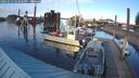 ./images/quadra/hbidock/20260223/hbidock20260223_163001M.jpg
