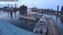./images/quadra/hbidock/20260223/hbidock20260223_181000M.jpg