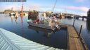 ./images/quadra/hbidock/20260224/hbidock20260224_094001M.jpg