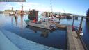 ./images/quadra/hbidock/20260224/hbidock20260224_120001M.jpg