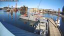 ./images/quadra/hbidock/20260224/hbidock20260224_141501M.jpg
