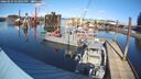 ./images/quadra/hbidock/20260224/hbidock20260224_142502M.jpg