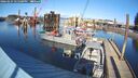 ./images/quadra/hbidock/20260224/hbidock20260224_145500M.jpg